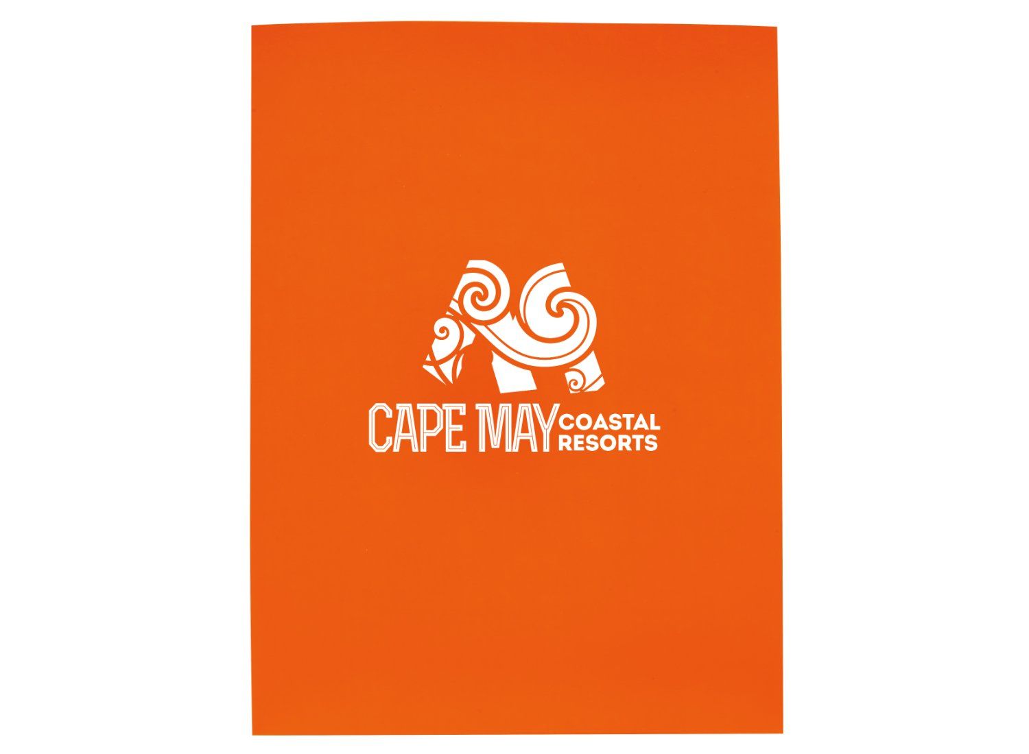 Foil Stamp Gloss Paper Folder